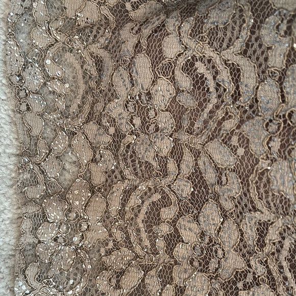 Elegant Lace Evening Gown by Rickie Freeman Teri John Size 16 Color Taupe - Picture 6 of 9